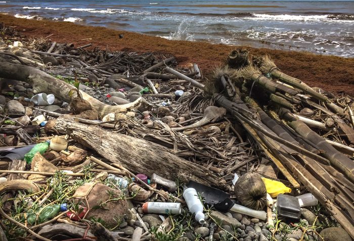 Plastic waste on a beach